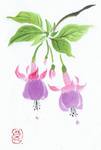 季節の絵便り通信