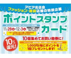 キャプチャ2