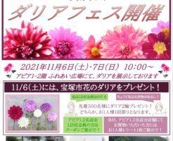 ダリア